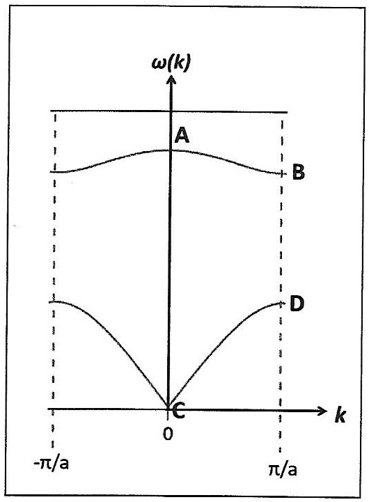 For the acoustic and optical branches of phonon dispersion on the 1D ...