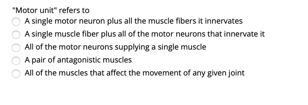 SOLVED: "Motor unit" refers to A single motor neuron plus all the ...