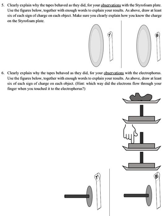 Styrofoam Plate 6