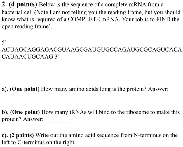 SOLVED:2. (4 points) Below is the sequence of a complete mRNA from a ...