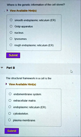 where is the genetic information of the cell stored view available hints smooth endoplasmic reticulum er golgi apparatus nucleus lysosomes rough endoplasmic reticulum er submit part b the st 66737
