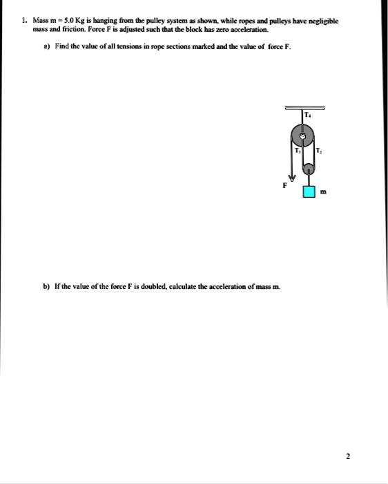SOLVED Mass m = 5.0 kg is hanging from the pulley system as shown