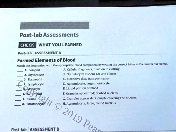 Post-lab Assessments
CHECK WHAT YOU LEARNED
Post-lab | ASSESSMENT A
Formed Elements of Blood
Match the description with the appropriate blood component by writing the correct letter in the numbered blanks.
1. Basophil
2. Erythrocyte
3. Eosinophil
4. Lymphocyte
5. Monocyte
6. Neutrophil
7. Plasma
8. Thrombocyte
A. Cellular fragments; function in clotting
B. Granulocyte; nucleus has 3 to 5 lobes
C. Biconcave disc; transports gases
D. Agranulocyte; largest leukocyte
E. Liquid portion of blood
F. Granules appear red; bilobed nucleus
G. Granules appear dark purple covering the nucleus
H. Agranulocyte; large, round nucleus