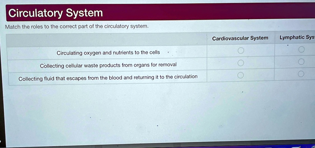 SOLVED: Circulatory System Match the roles to the correct part of the
