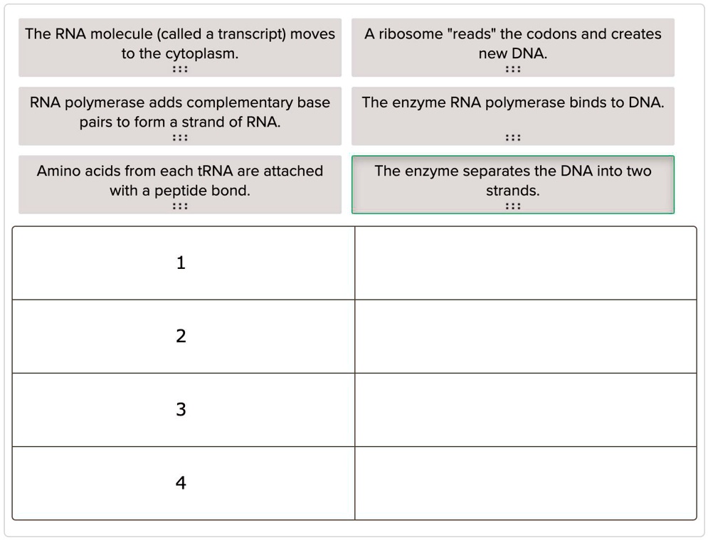 SOLVED Transcription Is The Beginning Of Protein Synthesis Some Of   3ea90d37fdcb4368900b9e1fd7e104cd 