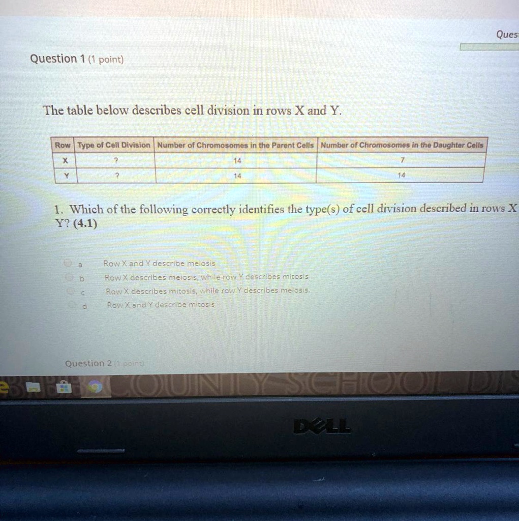 SOLVED: 'Which Of The Following Correctly Identifies The Types Of Cell ...