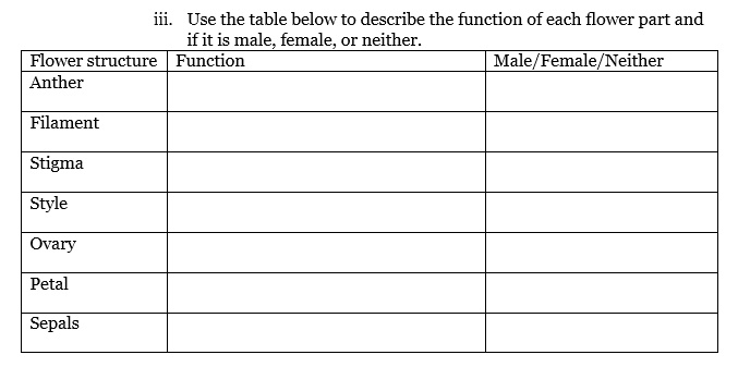 iii. Use the table below to describe the function of each flower part and if it is male, female, or neither.
Flower structure | Function | Male/Female/Neither
Anther | | 
Filament | | 
Stigma | | 
Style | | 
Ovary | | 
Petal | | 
Sepals | | 