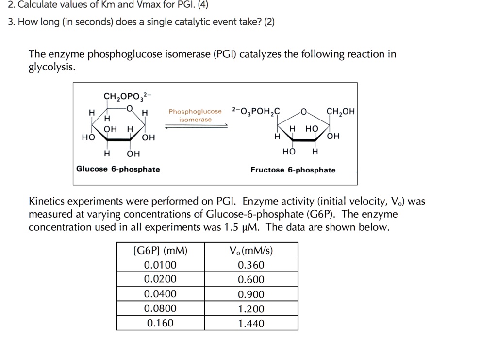 SOLVED Calculate values of Km and Vmax for PGI (4) How long (in