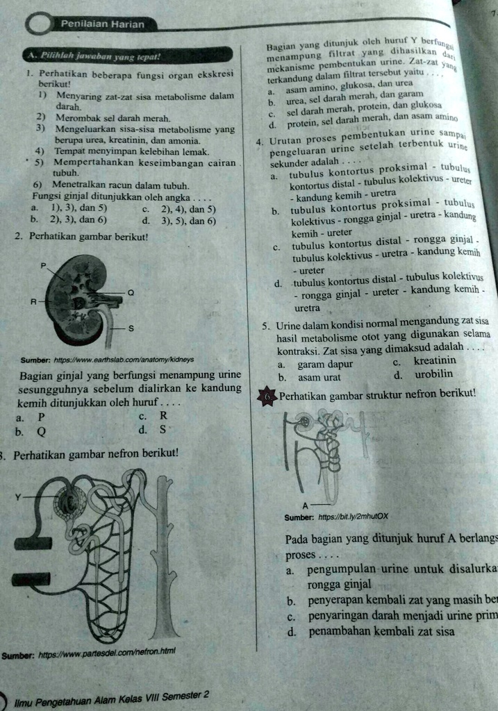 SOLVED: Tolong Kk Plisssssss Penilaian Harian Yang Ditunjuk Oleh Huruf ...