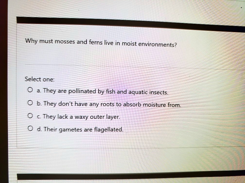 SOLVED Why must mosses and ferns live in moist environments? Select