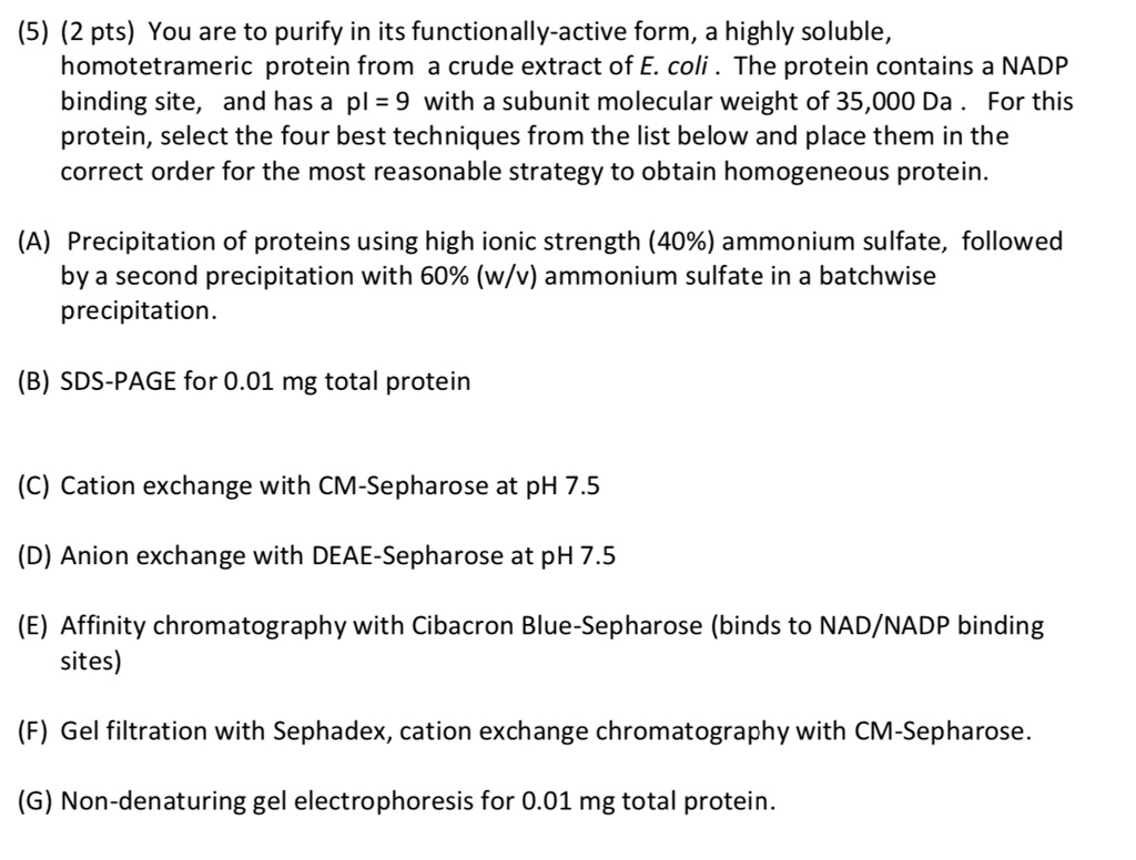 (5) (2 pts) You are to purify in its functionally-active form, a highly soluble, homotetrameric protein from a crude extract of E. coli . The protein contains a NADP binding site, and has a pI = 9 with a subunit molecular weight of 35,000 Da . For this protein, select the four best techniques from the list below and place them in the correct order for the most reasonable strategy to obtain homogeneous protein.

(A) Precipitation of proteins using high ionic strength (40%) ammonium sulfate, followed by a second precipitation with 60% (w/v) ammonium sulfate in a batchwise precipitation.

(B) SDS-PAGE for 0.01 mg total protein

(C) Cation exchange with CM-Sepharose at pH 7.5

(D) Anion exchange with DEAE-Sepharose at pH 7.5

(E) Affinity chromatography with Cibacron Blue-Sepharose (binds to NAD/NADP binding sites)

(F) Gel filtration with Sephadex, cation exchange chromatography with CM-Sepharose.

(G) Non-denaturing gel electrophoresis for 0.01 mg total protein.