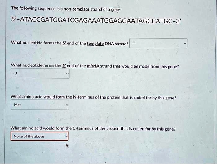 the following sequence is a non template strand of a gene 5