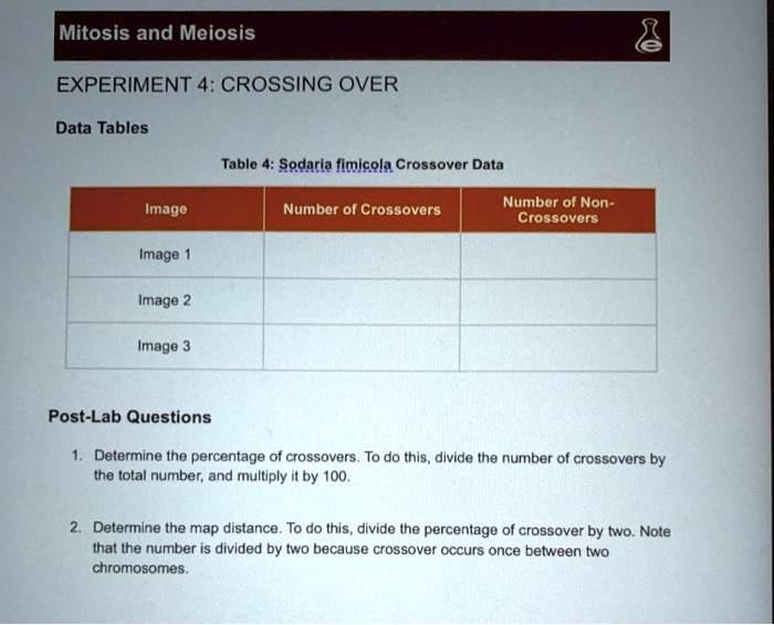 SOLVED Mitosis and Meiosis EXPERIMENT 4 CROSSING OVER Data Tables