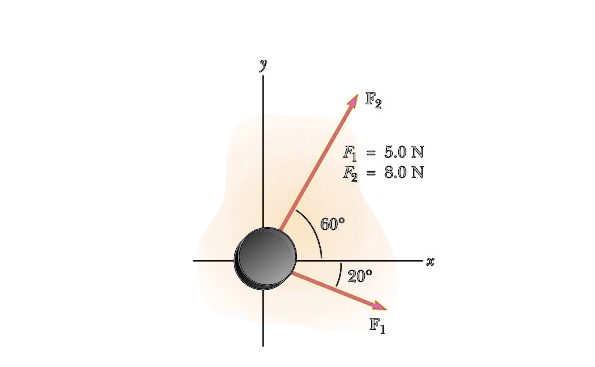 F1 = 5.0 N
F2 = 8.0 N