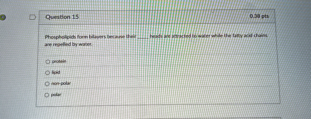 question 15 phospholipids form bilayers because their  heads are attracted to water while the fatty acid chains are repelled by water o protein o lipid o non polar o polar 038 pts 35898