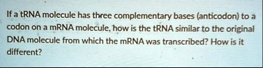 if a trna molecule has three complementary bases anticodon to a codon ...