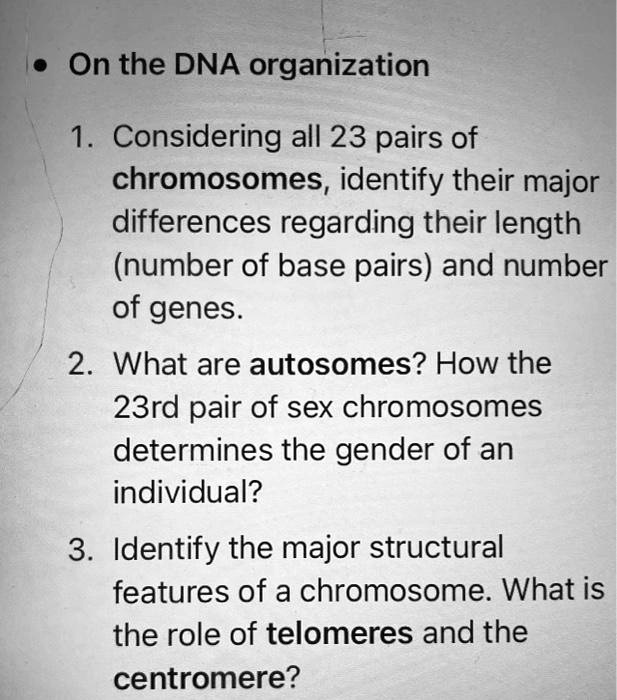 Solved On The Dna Organization 1 Considering All 23 Pairs Of