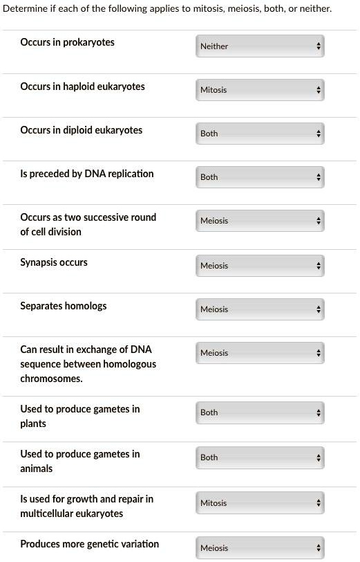 SOLVED Determine if each of the following applies to mitosis, meiosis