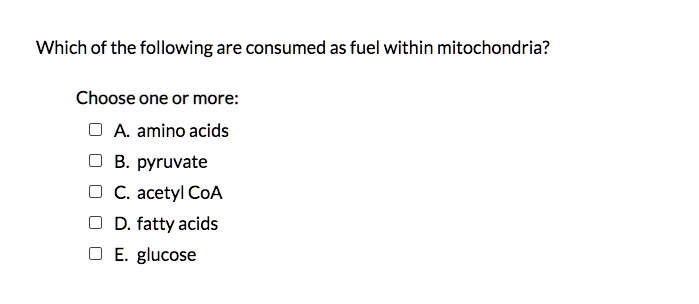Which of the following are consumed as fuel within mitochondria?

Choose one or more:

A. amino acids
B. pyruvate
C. acetyl CoA
D. fatty acids
E. glucose
