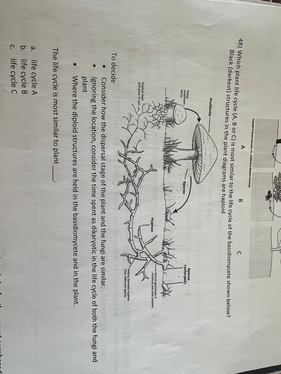 SOLVED: A B C 48) Which Plant Life Cycle (A, B Or C) Is Most Similar To ...