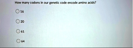 how many codons in our genetic code encode amino acids 16 20 61 64 96799