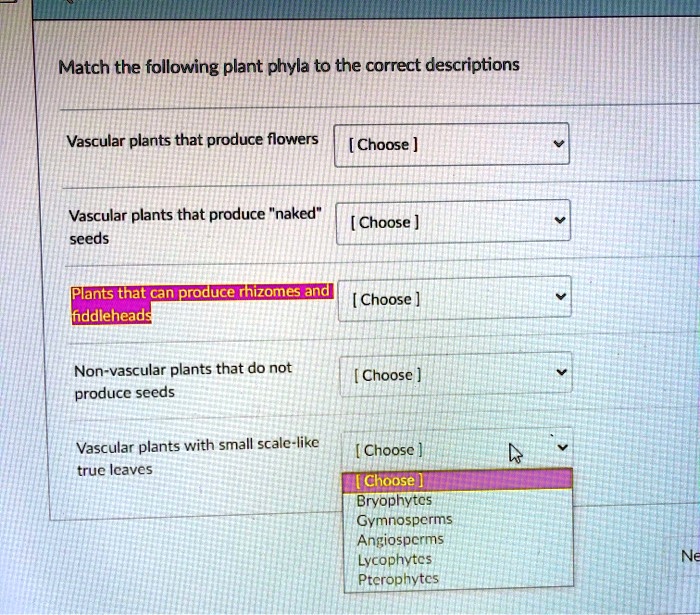 SOLVED Text Match the following plant phyla to the correct