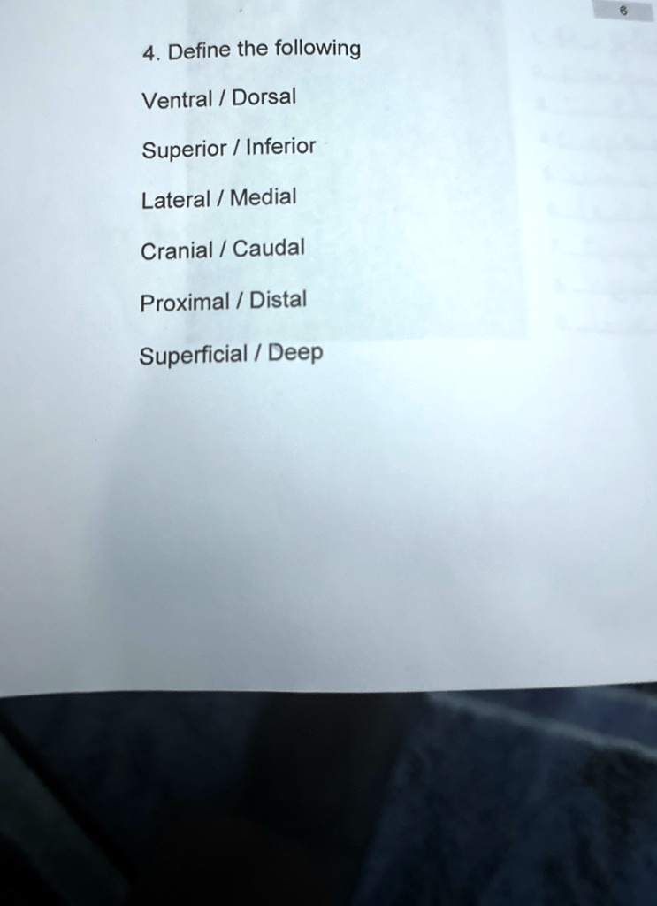 4 define the following ventral dorsal superior inferior lateral medial ...