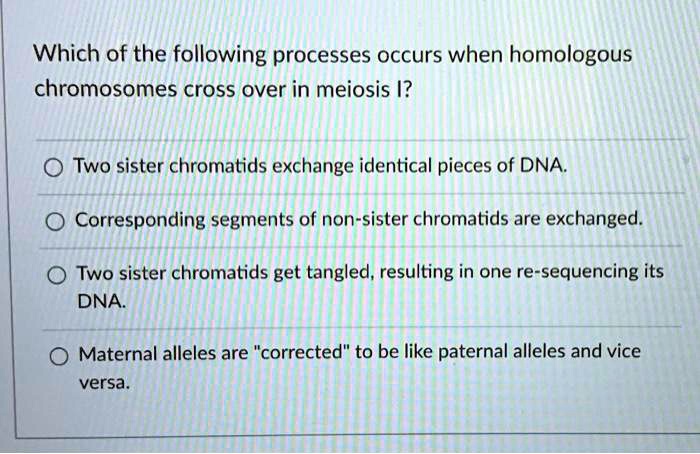 Which of the following processes occurs when homologous
chromosomes cross over in meiosis I?
Two sister chromatids exchange identical pieces of DNA.
Corresponding segments of non-sister chromatids are exchanged.
Two sister chromatids get tangled, resulting in one re-sequencing its
DNA.
Maternal alleles are ""corrected"" to be like paternal alleles and vice
versa.