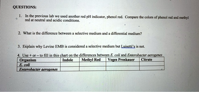 QUESTIONS:
1. In the previous lab we used another red pH indicator, phenol red. Compare the colors of phenol red and methyl red at neutral and acidic conditions.
2. What is the difference between a selective medium and a differential medium?
3. Explain why Levine EMB is considered a selective medium but Luisetti's is not.
4. Use + or - to fill in this chart on the differences between E. coli and Enterobacter aerogenes
Organism Indole Methyl Red Voges Proskauer Citrate
E. coli
Enterobacter aerogenes