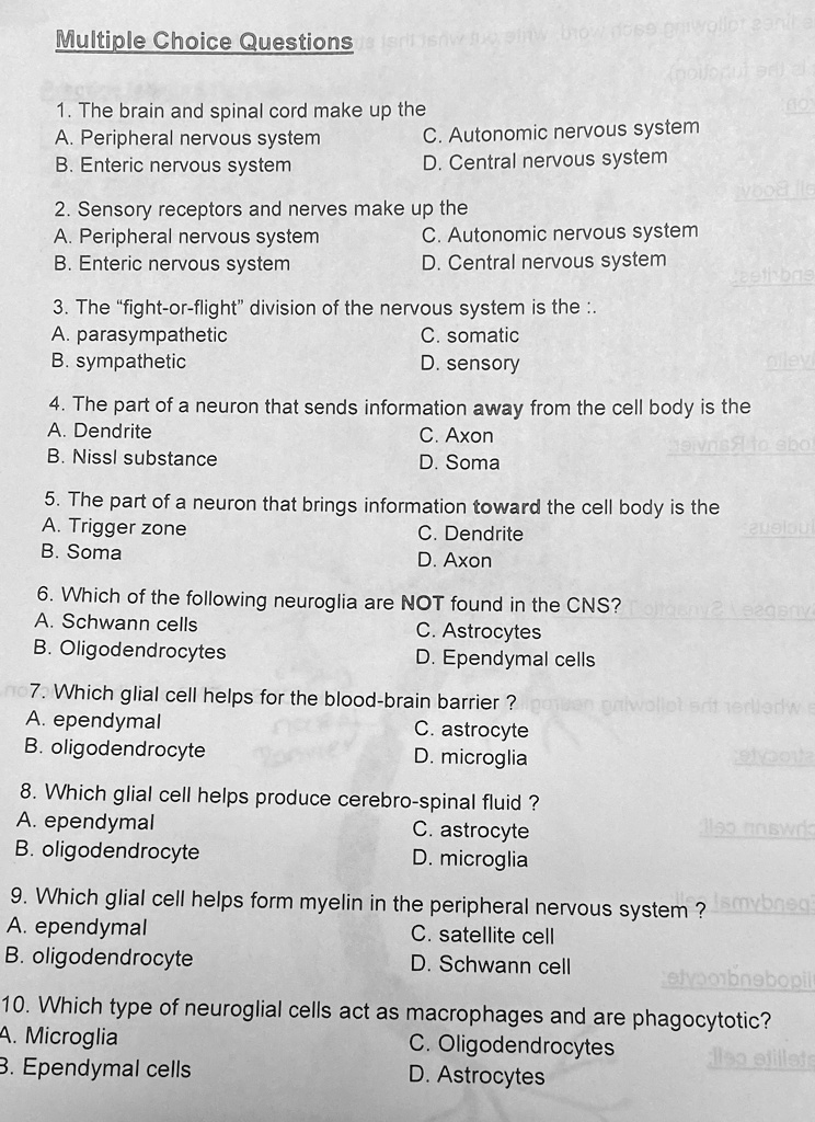 solved-multiple-choice-questions-1-the-brain-and-spinal-cord-make-up