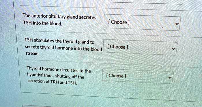 The anterior pituitary gland secretes TSH into the blood. [ Choose ]
TSH stimulates the thyroid gland to secrete thyroid hormone into the blood stream. [ Choose ]
Thyroid hormone circulates to the hypothalamus, shutting off the secretion of TRH and TSH. [ Choose ]