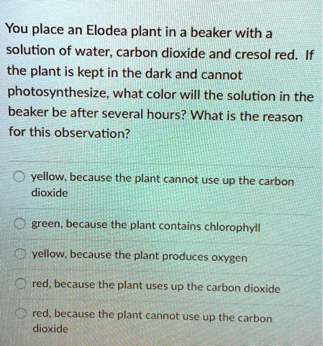 photosynthesis lab elodea and bromothymol blue answers