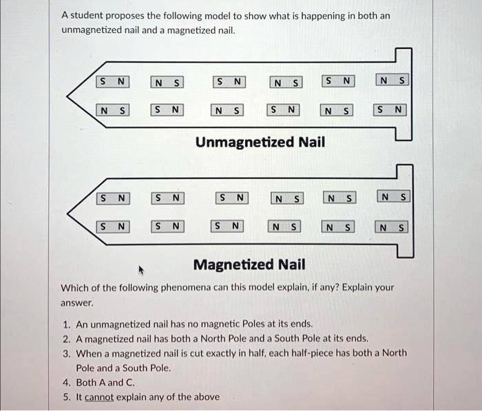 A student proposes the following model to show what is happening in both an
unmagnetized nail and a magnetized nail.
SN
NS
SN
NS
SN
NS
NS
SN
NS
SN
NS
SN
Unmagnetized Nail
SN
SN
SN
NS
NS
NS
SN
SN
SN
NS
NS
NS
Magnetized Nail
Which of the following phenomena can this model explain, if any? Explain your
answer.
1. An unmagnetized nail has no magnetic Poles at its ends.
2. A magnetized nail has both a North Pole and a South Pole at its ends.
3. When a magnetized nail is cut exactly in half, each half-piece has both a North
Pole and a South Pole.
4. Both A and C.
5. It cannot explain any of the above
