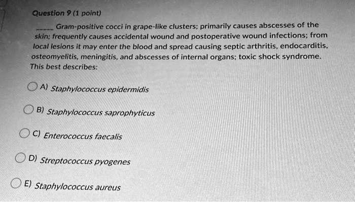 SOLVED: Question 9 (1 point) Gram-positive cocci in grape-like clusters ...