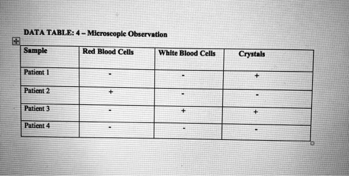 SOLVED: DATA TABLE: 4 - Microscopic Observation Sample Red Blood Cells ...