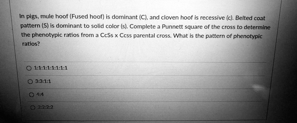 SOLVED: In pigs, mule hoof (Fused hoof) is dominant (C), and cloven ...