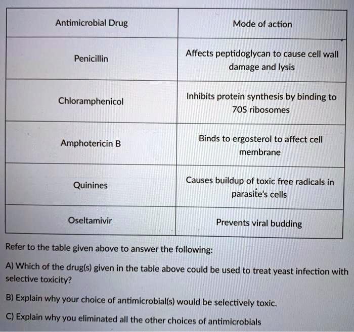 Antimicrobial Drug
Mode of action
Penicillin
Affects peptidoglycan to cause cell wall damage and lysis
Chloramphenicol
Inhibits protein synthesis by binding to 70S ribosomes
Amphotericin B
Binds to ergosterol to affect cell membrane
Quinines
Causes buildup of toxic free radicals in parasite's cells
Oseltamivir
Prevents viral budding
Refer to the table given above to answer the following:
A) Which of the drug(s) given in the table above could be used to treat yeast infection with selective toxicity?
B) Explain why your choice of antimicrobial(s) would be selectively toxic.
C) Explain why you eliminated all the other choices of antimicrobials