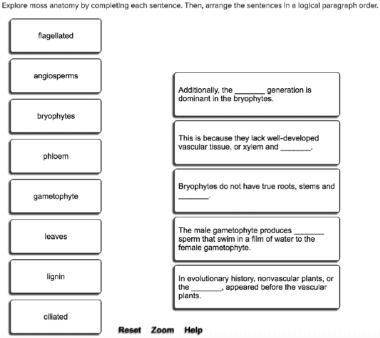 SOLVED Explore moss anatomy by completing each sentence. Then, arrange