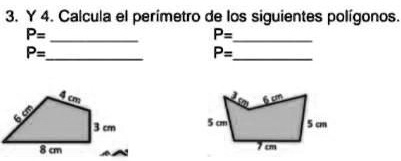 SOLVED: calcula el perímetro de los siguientes polígonos Y 4. Calcula ...