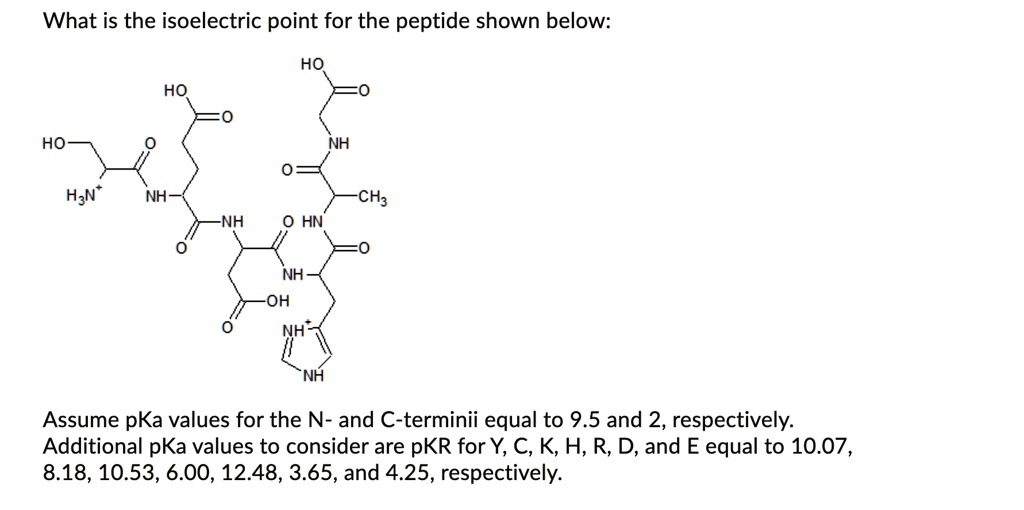 SOLVED: What is the isoelectric point for the peptide shown below: HO ...