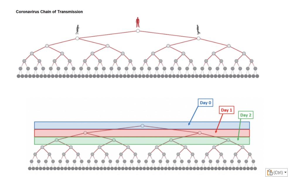 Coronavirus Chain of Transmission
Day 0
Day 1
Day 2