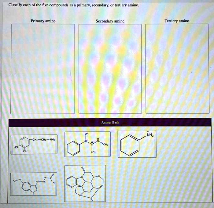 classify each of the five compounds primary secondary or tertiary aminc ...