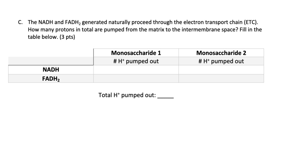 SOLVEDThe NADH and FADHz generated naturally proceed through the