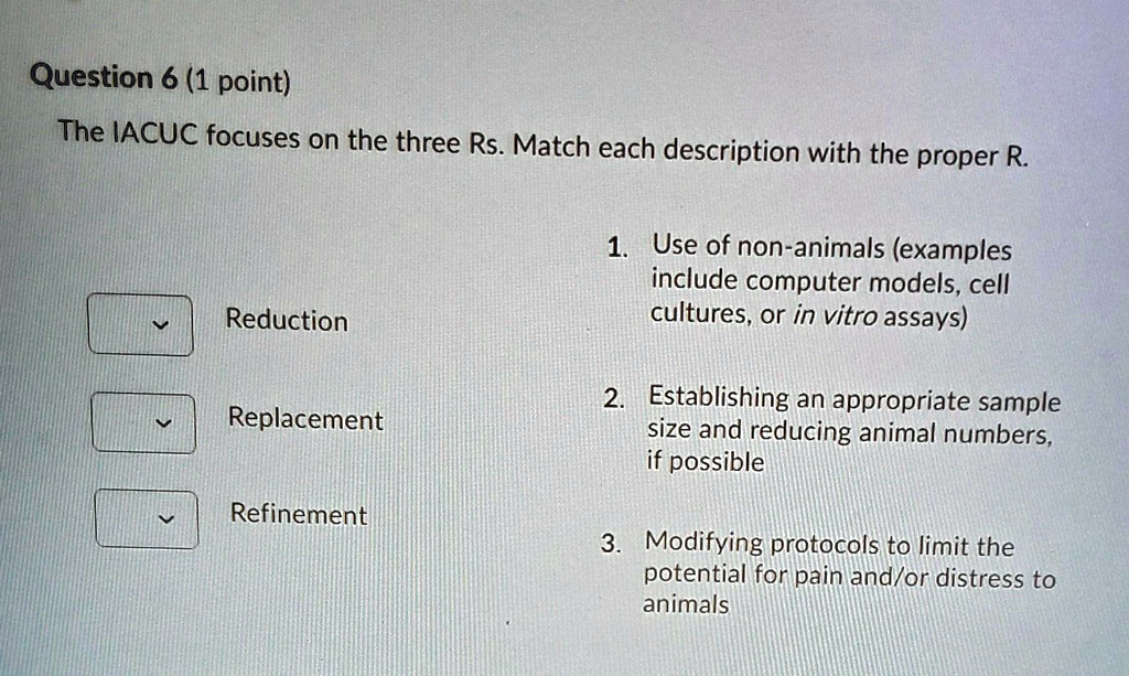 SOLVED: Question 6 (1 point) The IACUC focuses on the three Rs. Match each  description with the proper R 1. Use of non-animals (examples include  computer models, cell cultures, or in vitro