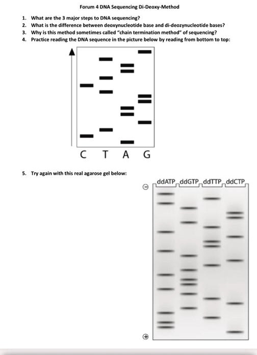 forum dna sequencing di deoxy method what aretnc major steps ...