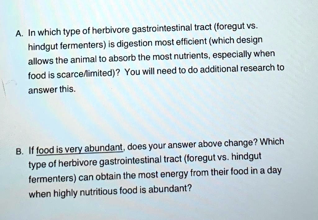 SOLVED: A In which type of herbivore gastrointestinal tract (foregut Vs.  hindgut fermenters) is digestion most efficient (which design allows the  animal to absorb the most nutrients; especially when food is  scarcellimited)?