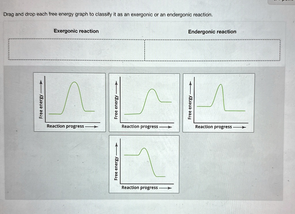 Exergonic Drag and drop each free energy graph to classify it as an exergonic or ...