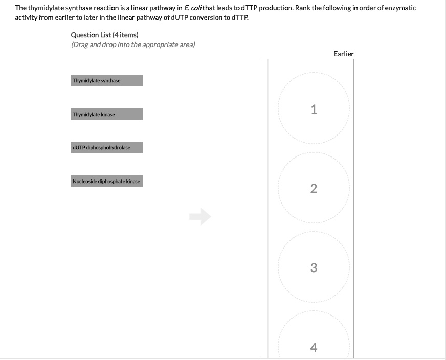 The thymidylate synthase reaction is linear pathway in e...
