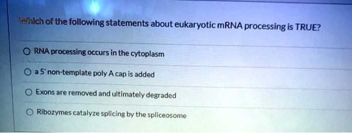 Solved:which Of The Following Statements About Eukaryotic Mrna Processing  Is True? Rna Processing Occurs In The Cytoplasm A 5� Non-Template Poly A  Cap Is Added Exons Are Removed And Ultimately Degraded Ribozymes Solved:which Of The Following Statements About Eukaryotic Mrna Processing  Is True? Rna Processing Occurs In The Cytoplasm A 5� Non-Template Poly A  Cap Is Added Exons Are Removed And Ultimately Degraded Ribozymes