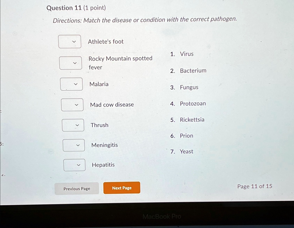 Question 11 (1 point) Directions: Match the disease or condition with ...
